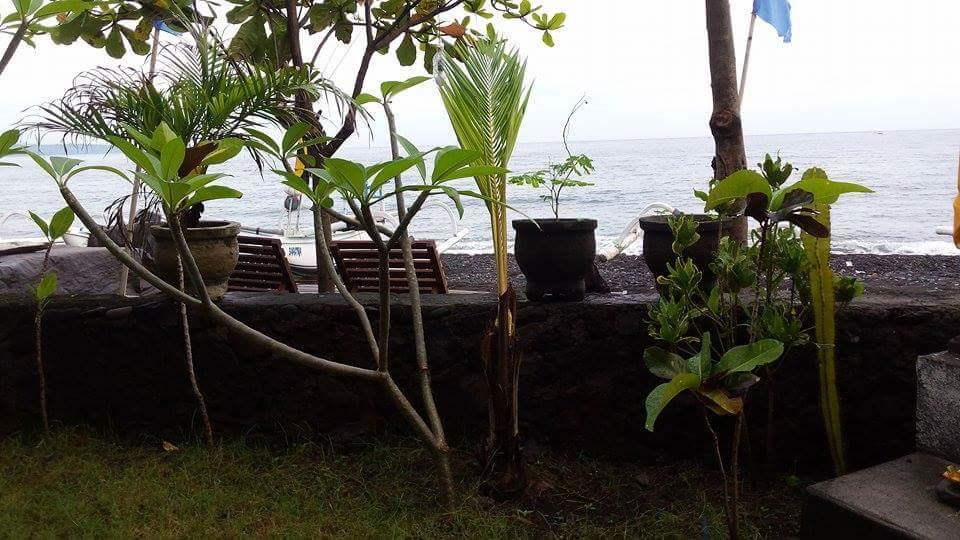 Alur Beach Homestay Amed Exteriör bild